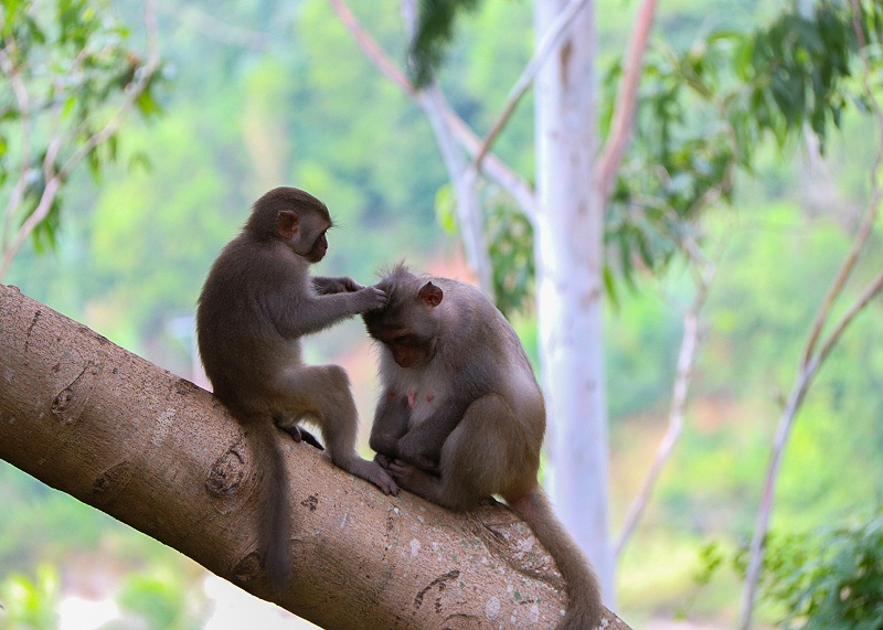硬汉视频APP官网下载真空硬汉视频黄色版公司
