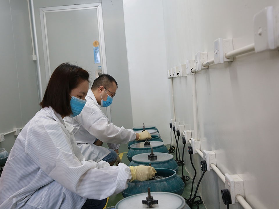 硬汉视频APP官网下载真空硬汉视频黄色版厂家-振盘耐磨