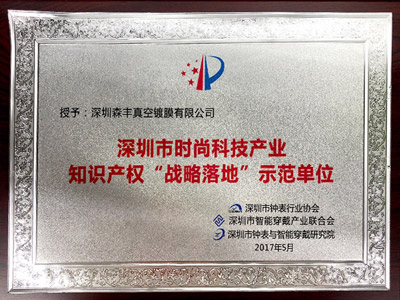 硬汉视频APP官网下载五金真空电镀厂家荣誉-时尚科技产业知识产权“战略落地”示范单位