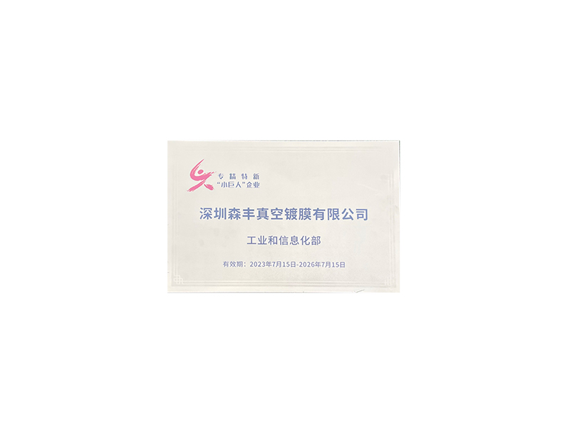真空硬汉视频黄色版厂荣誉-国家高新技术企业