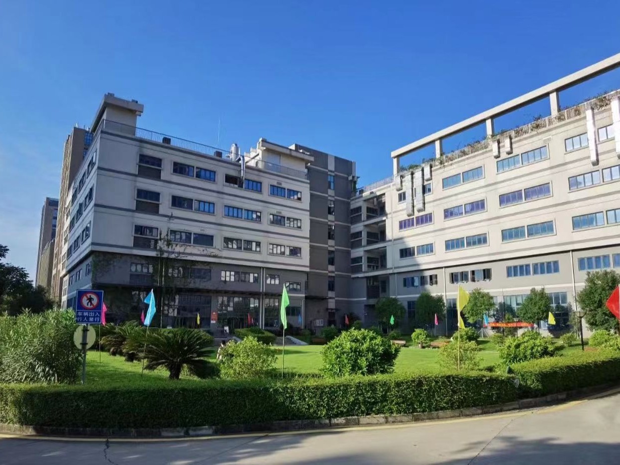 深圳离子硬汉视频黄色版厂家